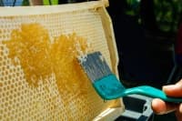 beeswax