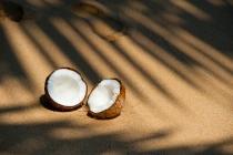 coconut